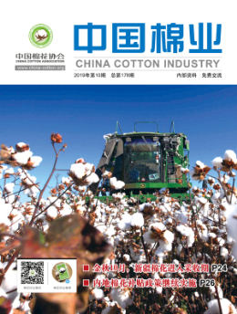 中国棉业19年10期-封面.jpg