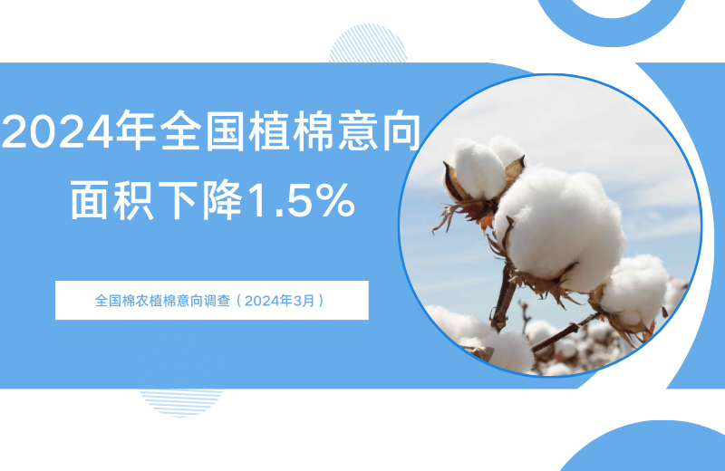 2024年全国植棉意向面积下降1.5%——全国棉农植棉意向调查（2024年3月）